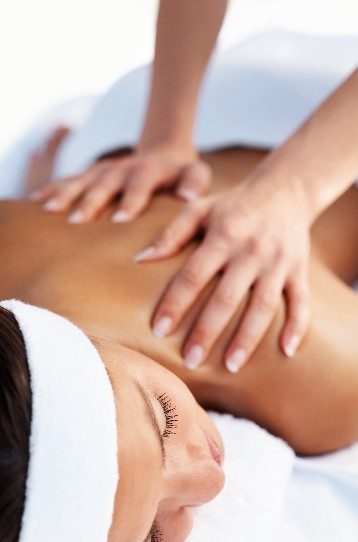 Dome Spa Retreat At The Brisbane Marriott Hotel - Pet Food Australia 0