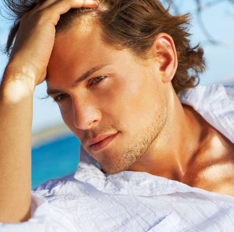 Dome Spa Retreat At The Brisbane Marriott Hotel - Pet Food Australia 3