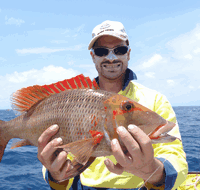 Carlo Fishing Charters - Food Delivery Shop