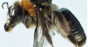 Perth City WA Food Delivery Shop