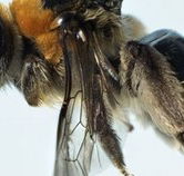 Western Australian Museum - Food Delivery Shop
