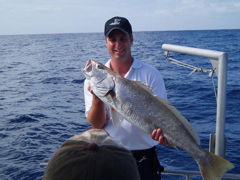 Blue Juice Charters - Food Delivery Shop 1