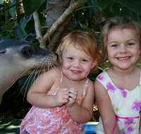 Dolphin Marine Magic - Food Delivery Shop