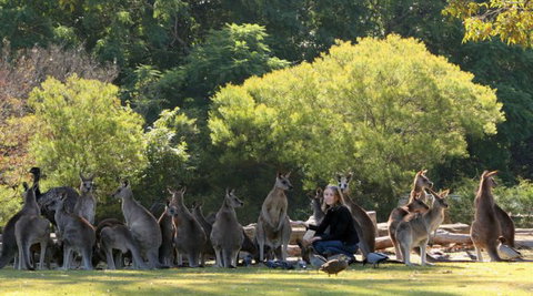 Lone Pine Koala Sanctuary - Food Delivery Shop 1