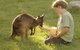 Cleland Wildlife Park - thumb 4