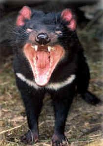 Zoo Doo Wildlife Park - Food Delivery Shop 4