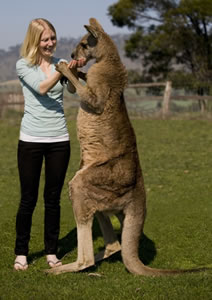 Zoo Doo Wildlife Park - Food Delivery Shop 5