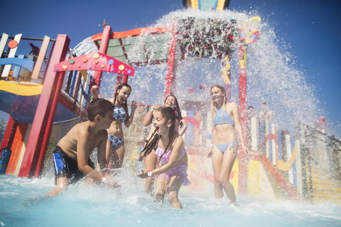 Funfields - Food Delivery Shop 10