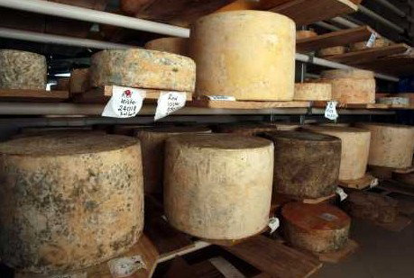 Witches Chase Cheese Co - Pet Food Australia 3