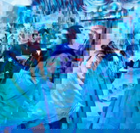 Icebar Melbourne - Pet Food Australia