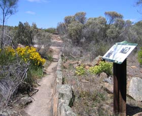 Christmas Rock Walk - Food Delivery Shop 0