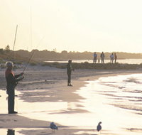 Busselton Beachfront - Pet Food Australia