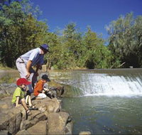 Ivanhoe Crossing - Pet Food Australia