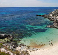 Little Armstrong Bay - Pet Food Australia