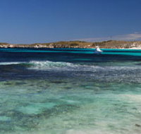 Little Salmon Bay - Pet Food Australia