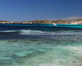 Little Salmon Bay - Food Delivery Shop 0