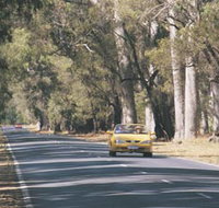 Ludlow Tuart Forest - Food Delivery Shop