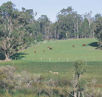Scenic Drives - Bunbury Collie Donnybrook - Food Delivery Shop