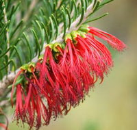 Ethel Daw Scenic Drive - Food Delivery Shop