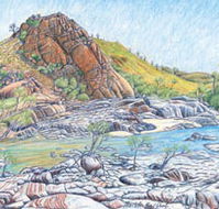 Red Dirt Arts - Food Delivery Shop