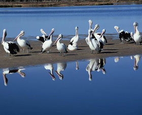 Peel Region Canoe Trails - Food Delivery Shop 0