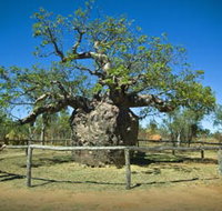 Pigeon Heritage Trail - Pet Food Australia