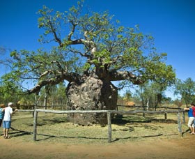 Pigeon Heritage Trail - Food Delivery Shop 0
