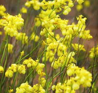 Mount Madden Scenic Drive - Food Delivery Shop