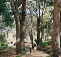 Law Trail and Lotterywest Federation Walkway Kings Park - Pet Food Australia
