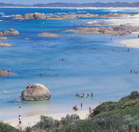 Greens Pool - Food Delivery Shop