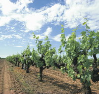 Blackwood Meadery - Pet Food Australia