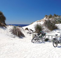 Little Parakeet Bay - Pet Food Australia