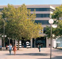 Perth Cultural Centre - Pet Food Australia