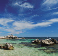 Stark Bay - Pet Food Australia