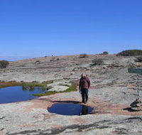 Dingo Rock - Pet Food Australia