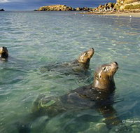 Shoalwater Islands Marine Park - Pet Food Australia