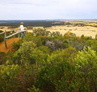 Archer Drive Scenic Drive and Lookout - Food Delivery Shop