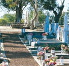 Fremantle Cemetery - Pet Food Australia