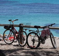 Parker Point Marine Snorkel Trail - Pet Food Australia