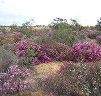 Reynoldson's Flora Reserve - Pet Food Australia