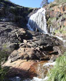Lesmurdie Falls - Food Delivery Shop 0