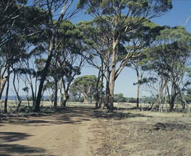 Lake Dumbleyung - Food Delivery Shop 0