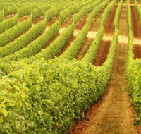 Xanadu Wines - Food Delivery Shop