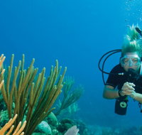 Coastal Water Dive - Food Delivery Shop