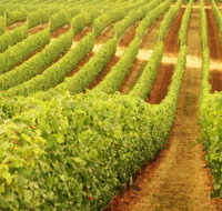 Happs Wines - Food Delivery Shop
