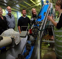 Eyre Peninsula's Seafood Trail - Pet Food Australia