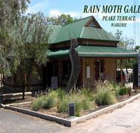 Rain Moth Gallery - Food Delivery Shop