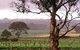Yangarra Estate Vineyard - thumb 0