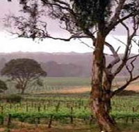 Yangarra Estate Vineyard - Food Delivery Shop