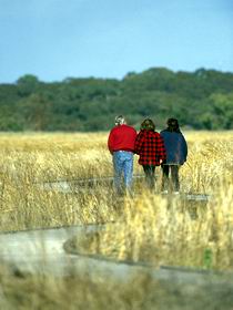Onkaparinga River Recreation Park - Food Delivery Shop 0